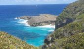 Randonnée Marche Anse-Bertrand - Porte d'Enfer - Pointe du Souffleur - Photo 4