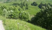 Excursión Senderismo Le Grand-Bornand - col vers grand bornand 27/05/22 - Photo 1