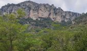 Tocht Kanoën - kajakken Massegros Causses Gorges - GR6 jour 8 Le Rozier - Photo 2