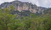 Trail Canoe - kayak Massegros Causses Gorges - GR6 jour 8 Le Rozier - Photo 2
