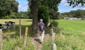 Tour Wandern Huldenberg - Huldenberg Terlanen site naturel Lasne - Photo 11