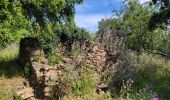 Percorso Marcia Roquebrune-sur-Argens - Dolmen- ruine de Roqueryrol- Bois de la Gaillarde - Photo 4