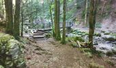 Tocht Stappen Menétrux-en-Joux - Ménétrux-en-Joux - cascades Evantail et Hérisson - Saut de la Forge - La Fromagerie - Photo 18