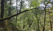 Excursión Senderismo Saint-Georges-en-Couzan - Randonnée au dessus de Vaux - Photo 2