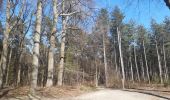 Trail Walking Oud-Heverlee - petit tour'tje autour de la caserne d Heverlee  - Photo 2