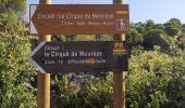 Trail Walking Mourèze - Arche de Moureze - Photo 18