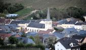 Tour Zu Fuß Schengen - Naturpfad Reif - Photo 9