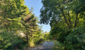 Tour Wandern Chorges - Bois du Ruban (Clot Clavary - crête du Ruban) - Photo 15