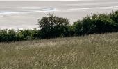 Randonnée Marche Genêts - Genêts - la pointe du groin sud - Photo 2