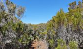 Tour Wandern Entre-Deux - Entre-Deux - Sentier Inard (boucle) - Photo 1