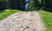 Tour Wandern Crêts-en-Belledonne - LE GRAND ROCHER PAR LE REFUGE DU CRET DU POULET - Photo 4