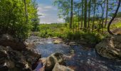 Tour Wandern Malmedy - Le trôs Maret - Photo 1