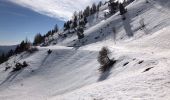 Randonnée Raquettes à neige Tende - Col de Tende - Photo 5