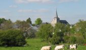 Excursión A pie La Roche-en-Ardenne - 3. Mont de Mousny - Photo 5