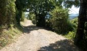 Trail Walking Plan-de-Baix - Canyon des Gueulards - Plateau du Vellan  - Photo 9