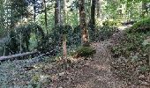 Trail Walking Annecy - A la découverte des Chalets de Barbenoire - Photo 7
