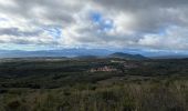 Trail Walking Baixas - Boucle Baixas Calce  - Photo 7