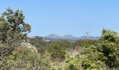 Tour Wandern Alleins - PF-Alleins - Chapelle Saint-Jean - Rousset - Tour Vieille - Vallon de Valcros - MR - Photo 3