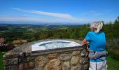 Trail Walking Fournols - Les deux frères  - Photo 3