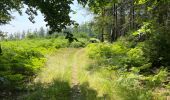 Trail Walking Bièvre - Oizy 21 km - Photo 16