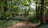 Trail Walking Mettet - Devant les boisBois - Photo 4