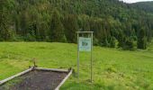 Trail On foot St. Blasien - Feldberg - Schluchsee - Photo 7