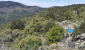 Excursión Senderismo Gonfaron - Plateau du Treps - Photo 7