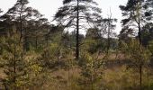 Randonnée A pied Schenefeld - Wanderweg Nr. 12 (Schenefeld - Klövensteen - Wedel) - Photo 1