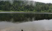 Trail Walking La Bresse - boucle col des feignes, lac de la lande, lac de blanchemer, rainkopft - Photo 5