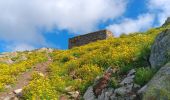 Trail Walking L'Albère - ullat - san-cristau / retour par la piste  - Photo 12