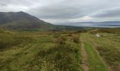 Excursión Senderismo West Cork - Hungry Hill - Photo 3