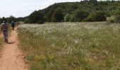 Randonnée Marche La Couvertoirade - Larzac la Couvertoirade - Photo 17