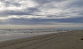 Randonnée Marche Camiers - Baie de Canches et retour par la mer - Photo 2