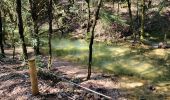 Randonnée Marche Nans-les-Pins - 