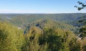 Tocht Stappen Vresse-sur-Semois - Promenade du point de vue des 8 Semois - Photo 1