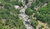 Trail Walking Pied-de-Borne - au dessus de borne et les Aydons - Photo 2