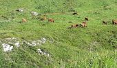 Tour Wandern Beaufort - COL DE LA SAUCE - Photo 7