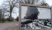 Tocht Stappen Ferrières - bosson . burnontige . lantroule . Le grand trixhe . bosson  - Photo 6