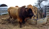 Tour Wandern Saint-Vallerin - la vallée des rois - Photo 2