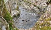 Excursión Senderismo Tellin - Grupont au Bois de Machi - Photo 6