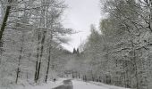 Trail Walking Liège - Roche aux Faucons départ domaine universtaire Sart Tilman - Photo 20