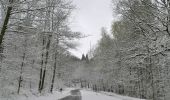 Tour Wandern Lüttich - Roche aux Faucons départ domaine universtaire Sart Tilman - Photo 20