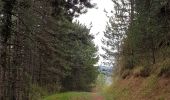 Tour Wandern Villeneuve-de-Berg - la forêt des sens Villeneuve de Berg  - Photo 18