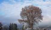 Tour Wandern Stablo - Stavelot  - Somagne - La Vaulx Richard - Photo 6