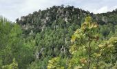 Tocht Stappen La Roquebrussanne - La Roquebrussane - Les Orris - Photo 1