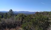 Trail Walking Roquebrune-sur-Argens - LA BOUVERIE / grottes /malvoisin/église des paiens/muerons - Photo 3