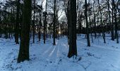 Percorso A piedi Ermelo - Leuvenumse bos (blauwe route) - Photo 10