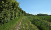 Randonnée Marche Manthelan - Manthelan - le Louroux - via PRs - 20.7km 100m 4h45 (1h) - 2025 04 30 - Photo 16