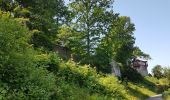 Tour Wandern Unknown - Baden Baden - rando des 