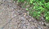 Tocht Stappen Villiers-Adam - fin muguet raté 07 mai 2025 - Photo 1